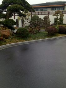 神速破案