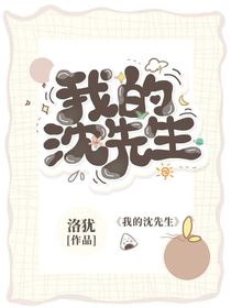 我的沈先生