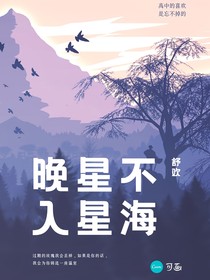 晚星不入星海