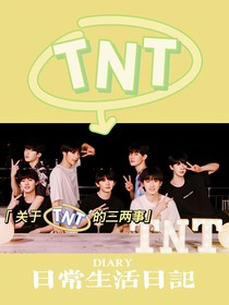 关于TNT的三两事