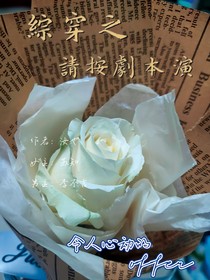綜穿之請按劇本演
