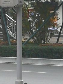 初秋……