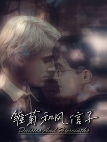 HP：雛菊和風信子