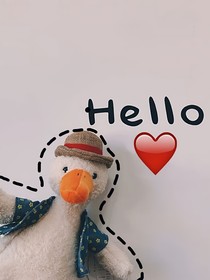 我的笨傻瓜