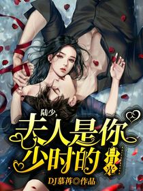 陆少，夫人是你少时的白月光
