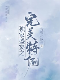 独家盛宴之完美特例