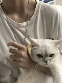 我把我们的故事，写成了书