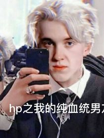 HP之我的纯血统的男友