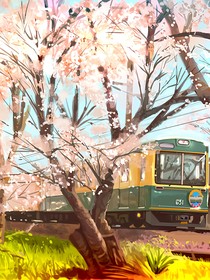 樱花树下的校园