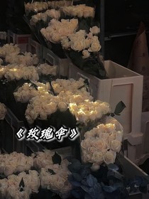 TNT：玫瑰伞