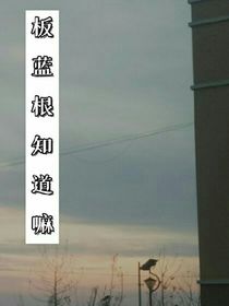 板藍根知道嘛