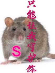 仙圣之只能让我守护你