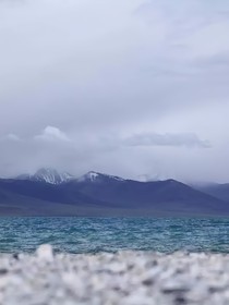 红楼之这个黛玉不一样