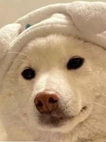 人间那些繁琐之事