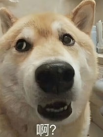 我说我是霸总