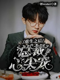 重生之后总裁的心尖宠