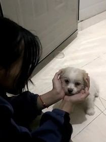 在下一个瞬间