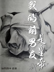 我的前男友是皇帝