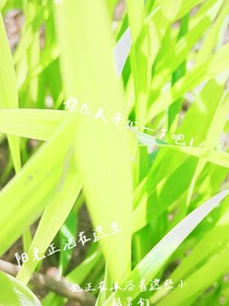 这个世界，毁灭还是守护