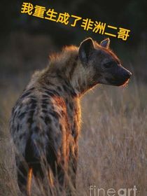 我重生成了非洲二哥