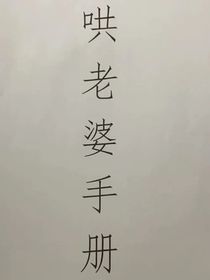 哄老婆手册