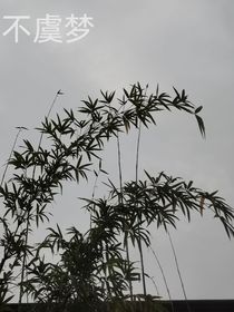 不虞梦