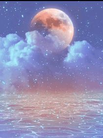 靠眼睛的世界