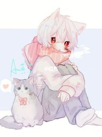 你好！新人（猫）生