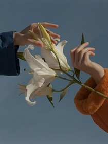 摩羯和處女的那些事兒