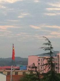 棲兮于卿