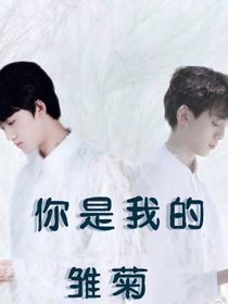 你是我的雏菊