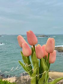 他在她怀中