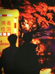 兔子有點(diǎn)皮
