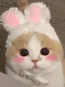 德云社：堂主妹妹快点跑