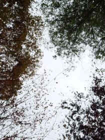 非典型阅读体之我嗑的cp