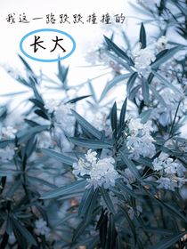 這一路跌跌撞撞的長大