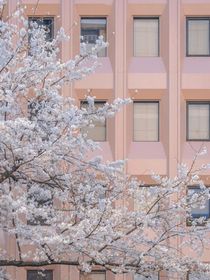 于你重逢