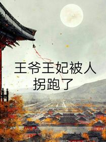 王爷王妃被人拐跑了