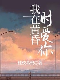 我在黄昏时爱你
