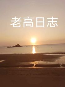 老高日志