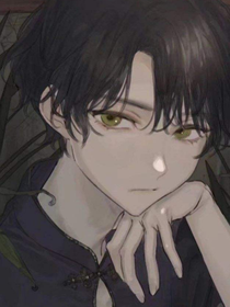 查理九世：谬论