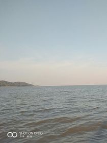 轉(zhuǎn)校生的校園