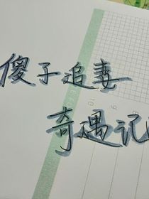 傻子追妻奇遇記