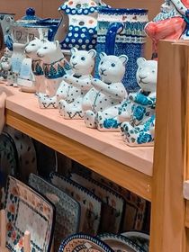 夏栀俘屿