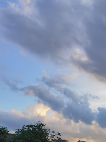 醉卧君膝
