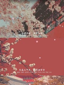 风寻晚来秋