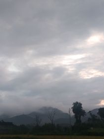 阿飘事件
