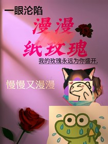 漫漫纸玫瑰