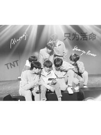 TNT：只为活命