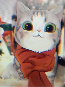 一群喵之剧组生活
